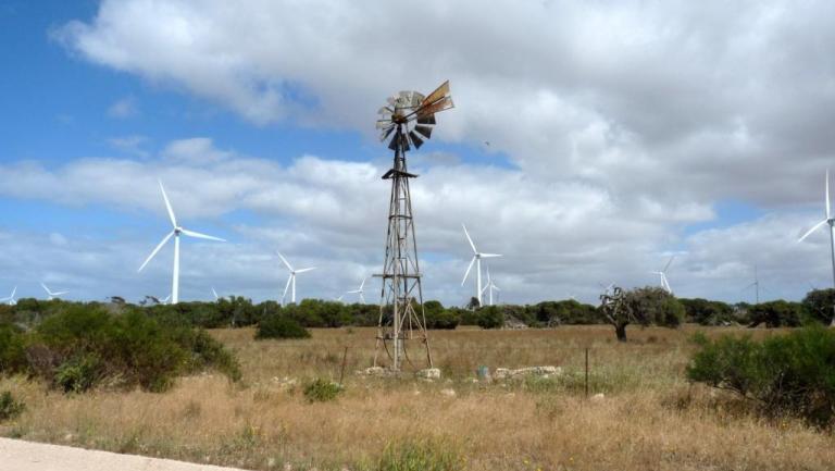 Windräder am Wattle Point